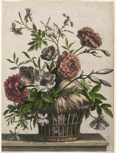 Marigolds, single Anemone, Jasmine... tekijältä Jean Baptiste Monnoyer I