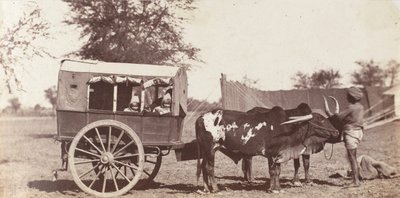[Campbell Twins in a Shigram, General Governor
