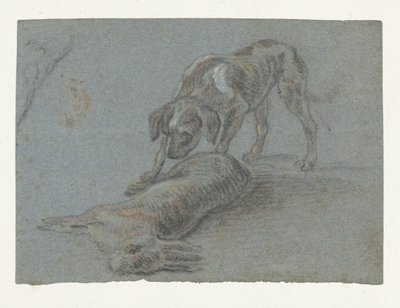 Koira ammuttu jänis tekijältä Jean Baptiste Oudry (possibly)
