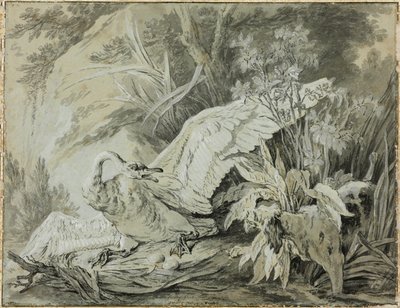 Koira hyökkäsi villijoutsenen kimppuun tekijältä Jean Baptiste Oudry