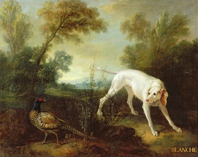 Blanche, kuninkaallisen metsästyslauman narttu tekijältä Jean Baptiste Oudry