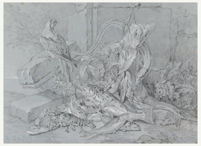 Piirros, asetelma, jossa on kala ja papukaija, 1740 tekijältä Jean Baptiste Oudry