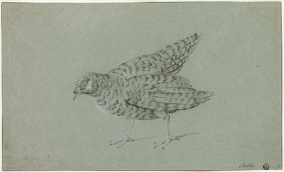Peltopyy tekijältä Jean Baptiste Oudry