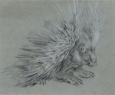 Piikkisika tekijältä Jean Baptiste Oudry