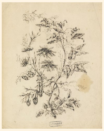 Piirros, Fantastisen puun oksa, 1775-1800 tekijältä Jean Baptiste Pillement