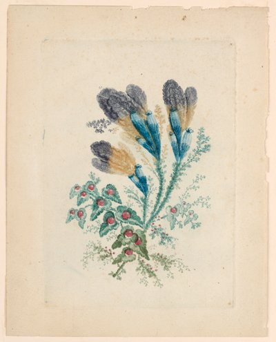 Fantastinen kukka-aihe "New Suite of Ideal Flower Notebooksista" tekijältä Jean Baptiste Pillement