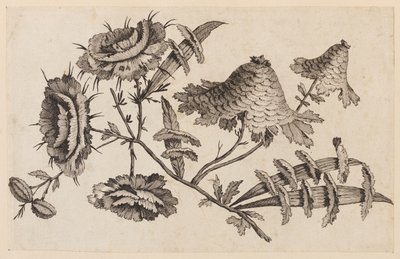Flower Bough, "Chinese Flower Collection" -kokoelmasta tekijältä Jean Baptiste Pillement