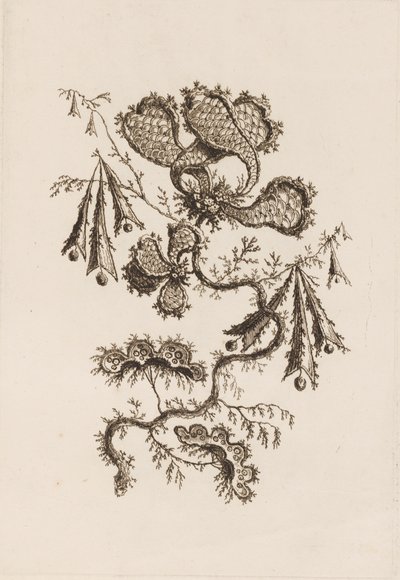 Flower Branch, de "Fleures Persannes"finès tekijältä Jean Baptiste Pillement