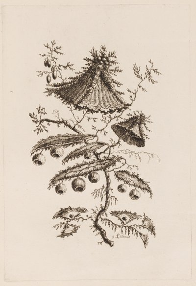 Kukkaoksa, "Fleures Persannes" tekijältä Jean Baptiste Pillement