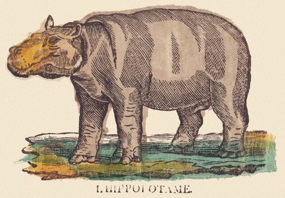 Virtahepo, noin 1840-1852 (litografia). tekijältä Jean Baptiste Thiebault