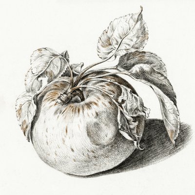 Apple tekijältä Jean Bernard
