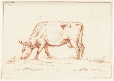 Vaca pasturant, a l