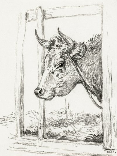 Lehmän pää (1820) tekijältä Jean Bernard