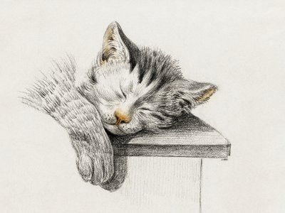 Piirros nukkuvasta kissasta tekijältä Jean Bernard