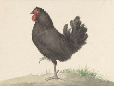 Seisova musta kana (1775–1833) tekijältä Jean Bernard