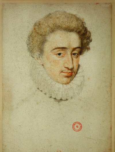 Tuleva Ranskan kuningas Henrik IV avioiduttuaan Valois
