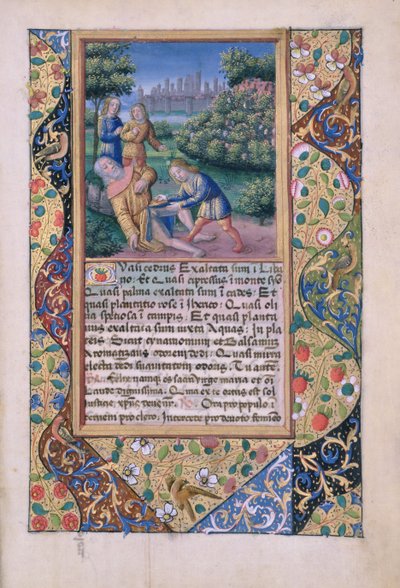 neiti Lat. Q.v.I.126 fol.17 The Drunkenness of Nooan, Louis dOrleansin tuntien kirjasta, 1490 tekijältä Jean Colombe