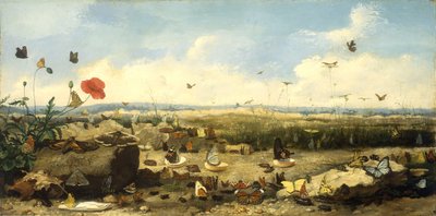 Perhosten rotu, 1872 tekijältä Jean Eugene Doneaud