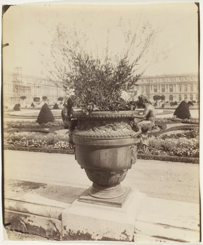 Versailles, Ballinin maljakko tekijältä Jean Eugène Auguste Atget