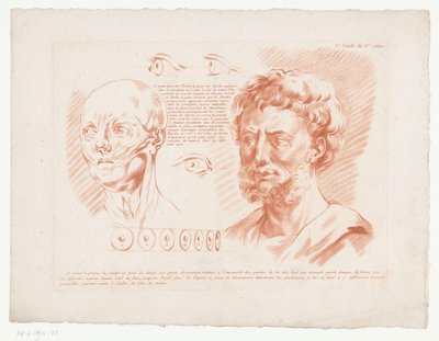 Kahden miehen pää ja silmät eri näkökulmista 3.e Feuille du 8e Cahier. (otsikko esineessä) Sävellykset ihmiskehon osista (sarjan nimi) Huitième Cahier de Principes de Design (sarjan nimi) tekijältä Jean Francois Janinet