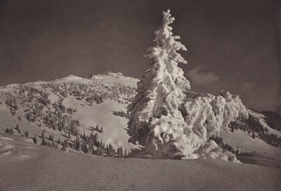 Rigi Kaltbad, Skigelande ja Rigi Kulm (m/v kuva) tekijältä Jean Gaberell