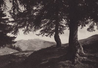 Rigi Staffel, kävele Staffelin lähellä (m/w kuva) tekijältä Jean Gaberell