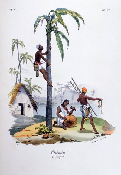 Chanar, 1828 tekijältä Jean Henri Marlet