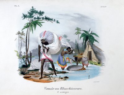 Pesut, 1828 tekijältä Jean Henri Marlet