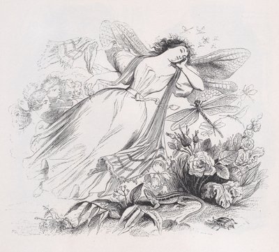 Sylfi teoksesta The Complete Works of Béranger, 1836. tekijältä Jean Ignace Isidore Gérard