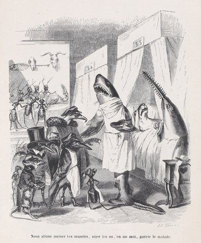 Aiomme viiltää lihaksia, sahaamme luut, sanalla sanoen, parantaa sairaita Sc:stä..., n. 1837-47. tekijältä Jean Ignace Isidore Gérard