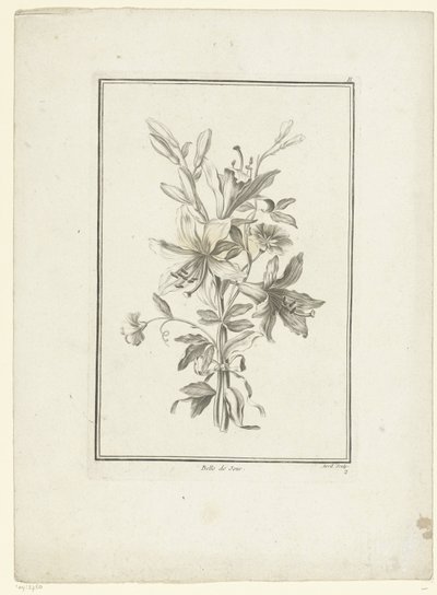 Kimppu liljalla Belle de Jour (otsikko esineessä) IIe Cahier de Bouquets (sarjan nimi) tekijältä Jean Jacques Avril (I)