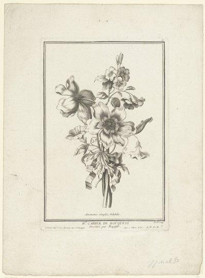 Kimppu anemonea ja sideruohoa Anemones simples, Volubilis (otsikko esineessä) IIe Cahier de Bouquets (sarjan nimi) tekijältä Jean Jacques Avril (I)