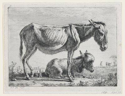 Jenny varsansa kanssa, 1797. tekijältä Jean Jacques de Boissieu