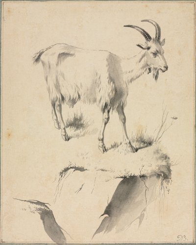 Tutkimus vuohista, 1700-luku. tekijältä Jean Jacques de Boissieu