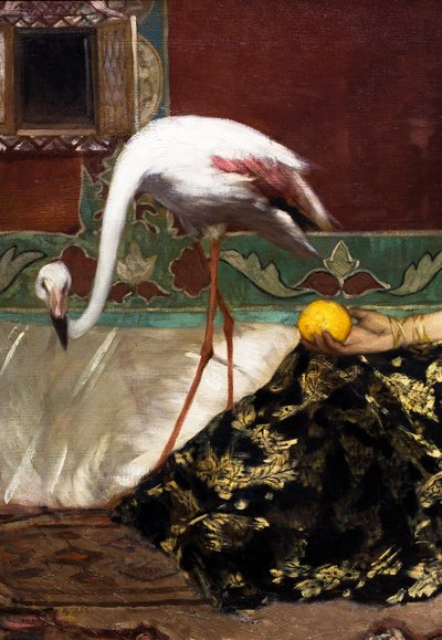 Vaaleanpunainen flamingo (yksityiskohta) tekijältä Jean Joseph Benjamin Constant
