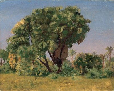Palmujen tutkimus tekijältä Jean Leon Gerome