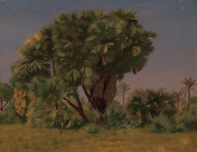 Tutkimus palmuista, luultavasti 1868. tekijältä Jean Leon Gerome