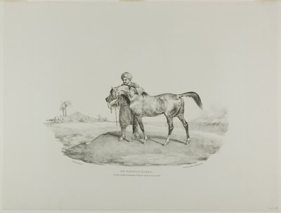 Arabianhevonen, levy 8 eri aiheista, jotka on piirretty elävästä elämästä ja kivestä (The English Suite). tekijältä Jean Louis André Théodore Géricault