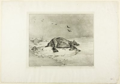 Kuollut hevonen tekijältä Jean Louis André Théodore Géricault