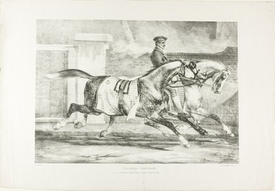 Hevoset harjoittelemassa, levy 6 eri aiheista, jotka on piirretty elämästä kivelle. tekijältä Jean Louis André Théodore Géricault