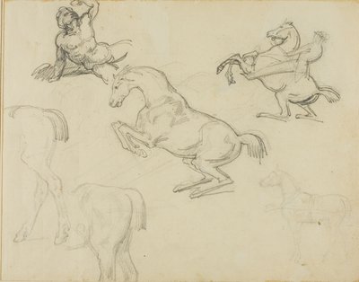 Luonnoksia: Hevosmies ja erilaisia hevosia. tekijältä Jean Louis André Théodore Géricault