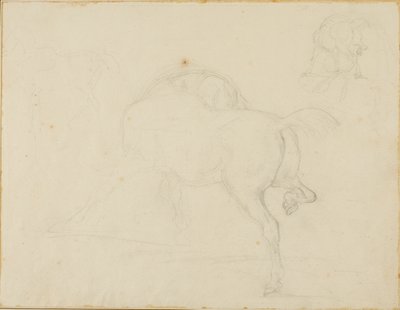 Tutkimus hevosesta, joka kääntää päätään ja nostaa takajalkaansa. tekijältä Jean Louis André Théodore Géricault