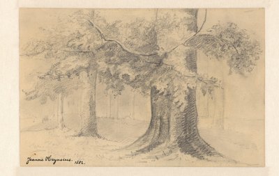 Maisema puiden kanssa tekijältä Jeanne Marie Heynsius (signed by artist)