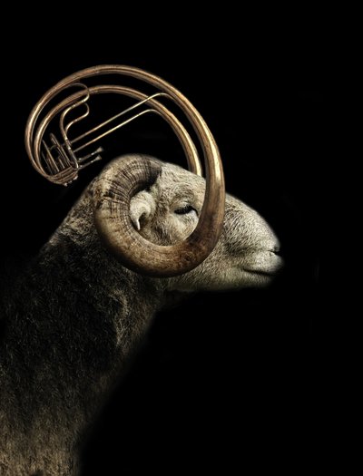 Musical Ram -profiili tekijältä Jeffrey Hummel