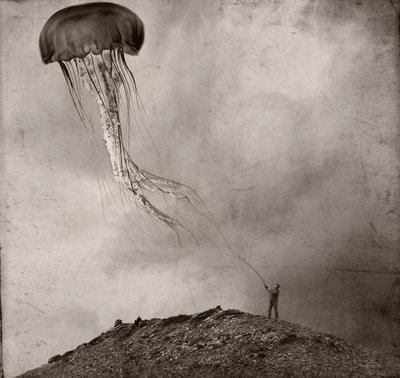 Surrealistinen meduusaleija tekijältä Jeffrey Hummel