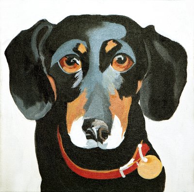 Buster, 2012 (akryyli kankaalle) tekijältä Jennifer Abbott