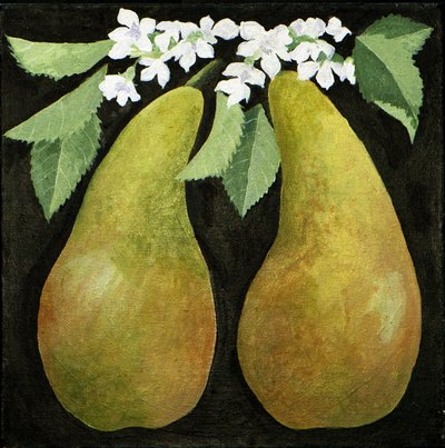 Päärynät, 2013 (akryyli kankaalle) tekijältä Jennifer Abbott