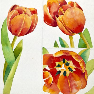 Kolme tulppaanitutkimusta varmassa, 2013 (akvarelli) tekijältä Jennifer Abbott