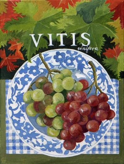 Vitus (viinirypäleet), 2014 (akryyli kankaalle) tekijältä Jennifer Abbott