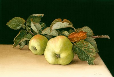 Bramleys tekijältä Jenny Barron